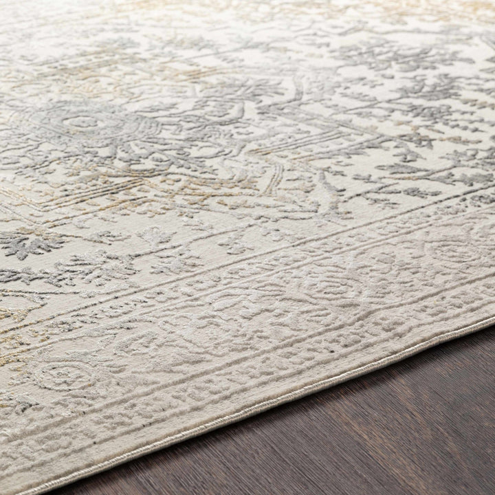 Morriston Traditional Style Ivory And Charcoal Area Rug - The Rug Decor