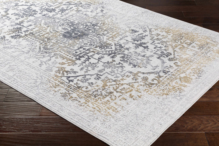 Morriston Traditional Style Ivory And Charcoal Area Rug - The Rug Decor