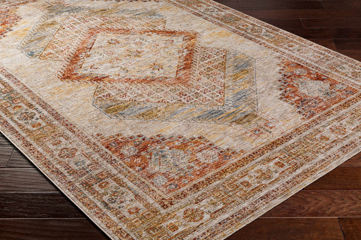 Moya Traditional Style Beige And Rust Area Rug - The Rug Decor