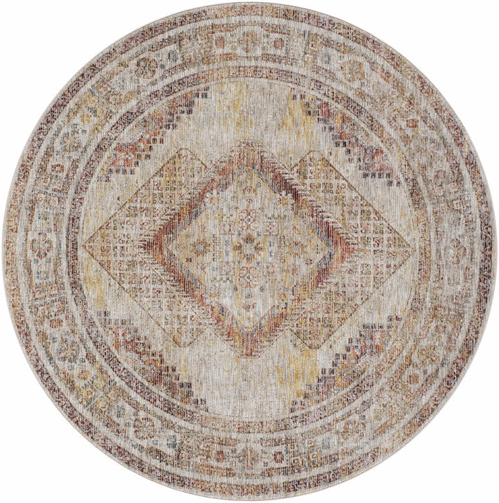 Moya Traditional Style Beige And Rust Area Rug - The Rug Decor