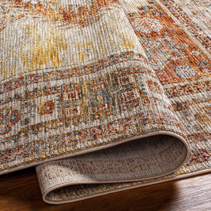 Moya Traditional Style Beige And Rust Area Rug - The Rug Decor