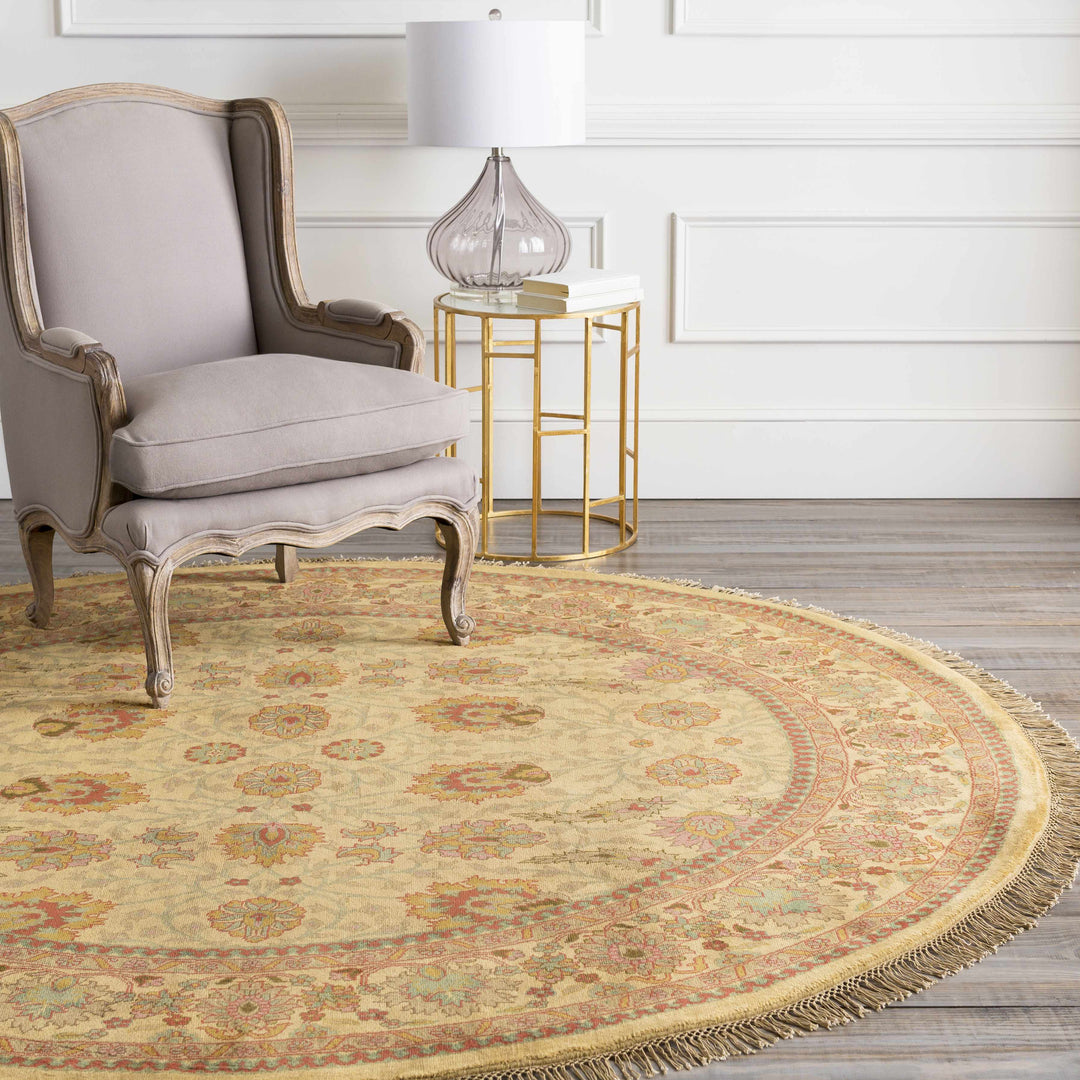 Maurice Beige Traditional Style Hand Knotted Area Rug