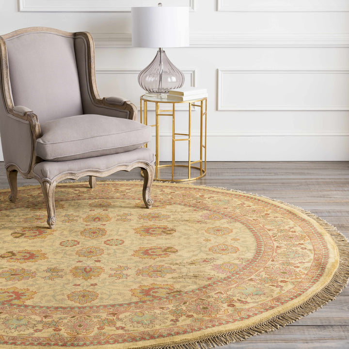 Maurice Beige Traditional Style Hand Knotted Area Rug