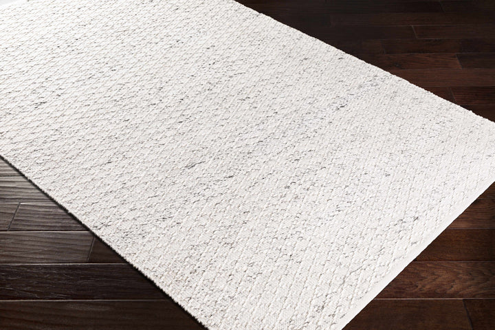 Martin Ivory Modern Style Hand Woven Area Rug