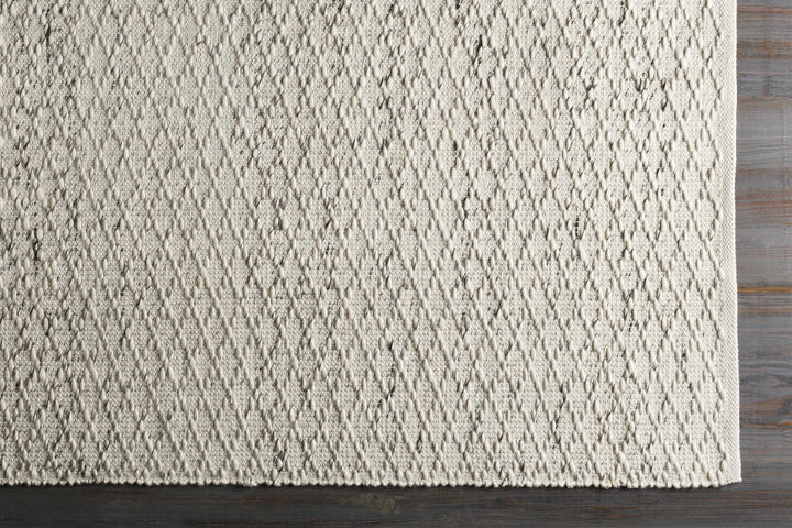 Martin Ivory Modern Style Hand Woven Area Rug