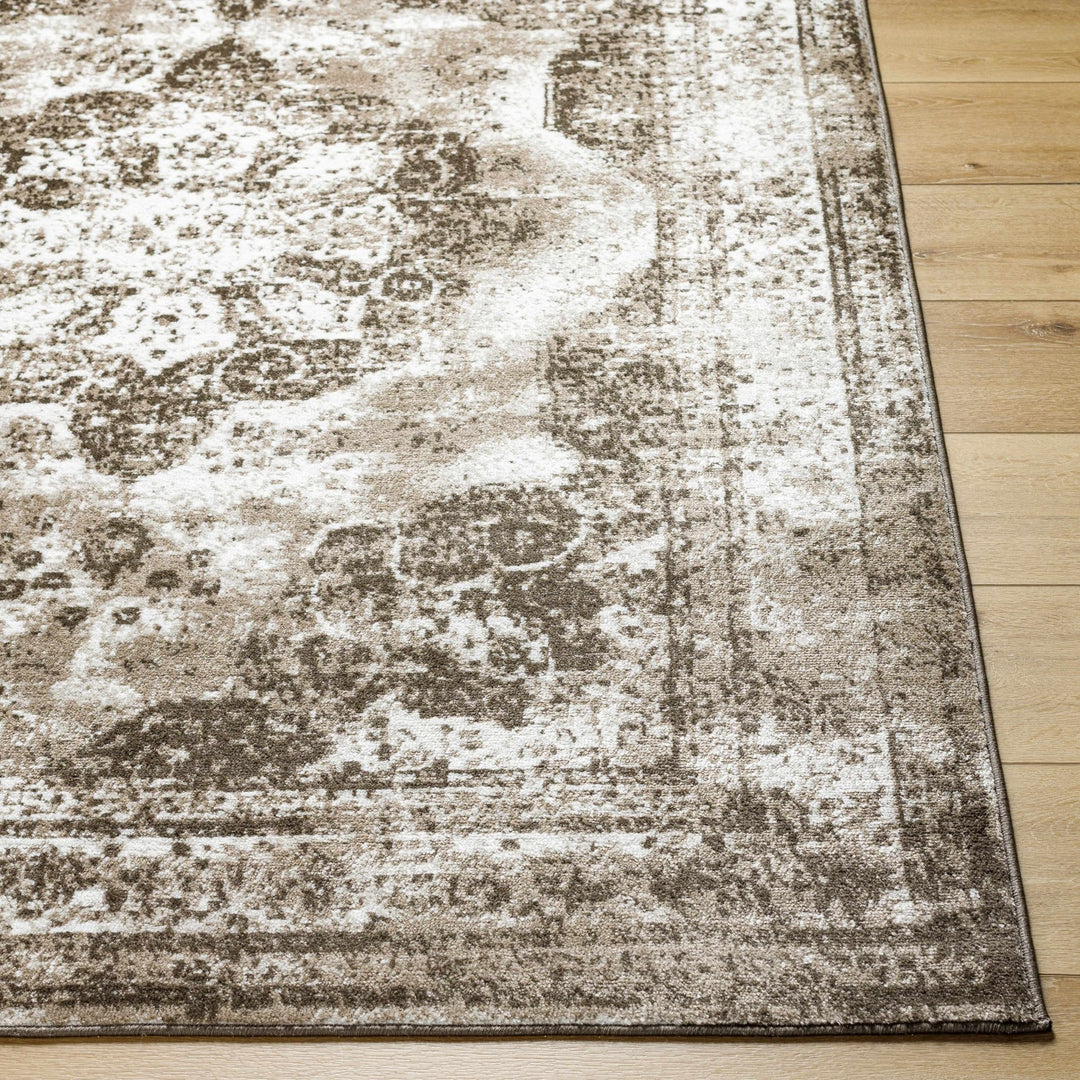 Naara ivory And Brown Transitional Style Rug - The Rug Decor