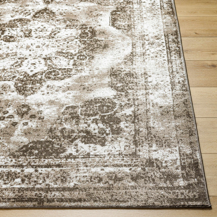 Naara ivory And Brown Transitional Style Rug - The Rug Decor
