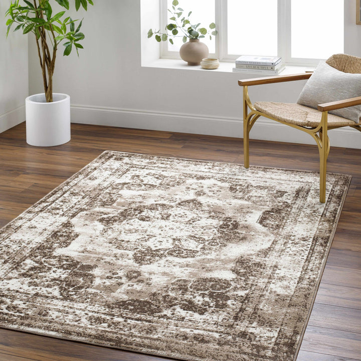Naara ivory And Brown Transitional Style Rug - The Rug Decor