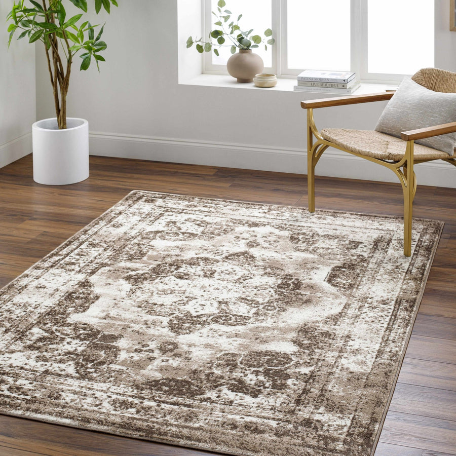 Naara ivory And Brown Transitional Style Rug - The Rug Decor
