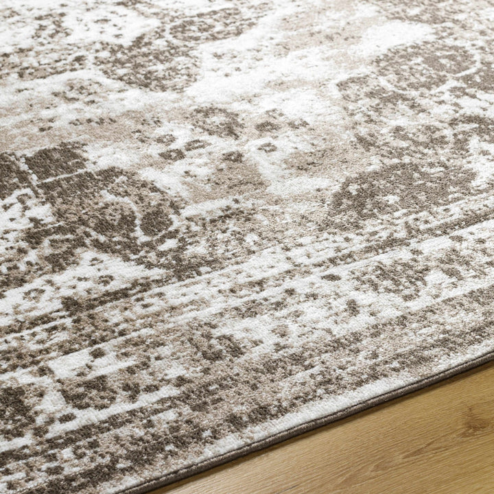 Naara ivory And Brown Transitional Style Rug - The Rug Decor