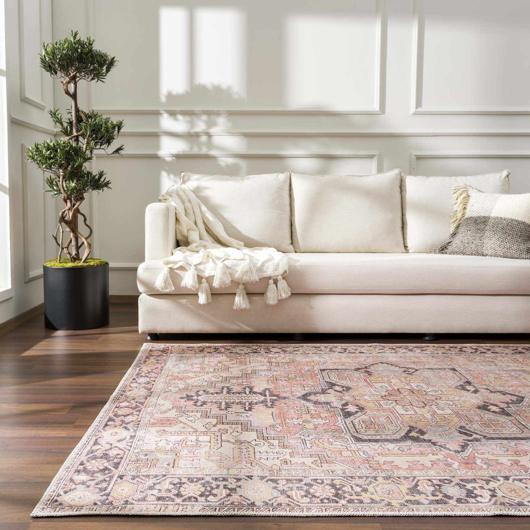 Nadia Peach And Brown Traditional Medallion Design Area Rug - The Rug Decor