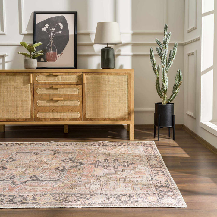 Nadia Peach And Brown Traditional Medallion Design Area Rug - The Rug Decor
