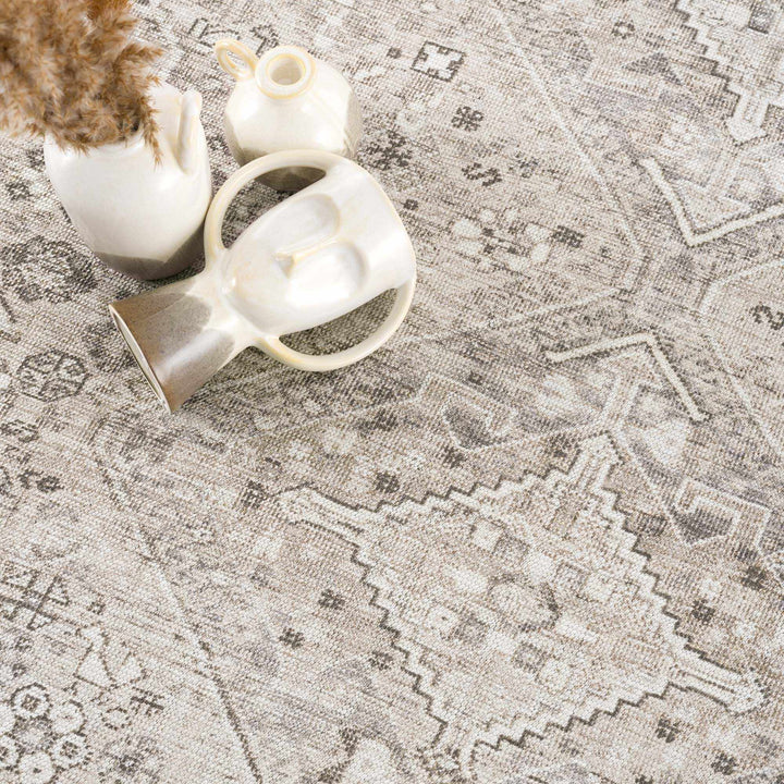 Nadie Traditional Style Beige and Brown Area Rug - The Rug Decor