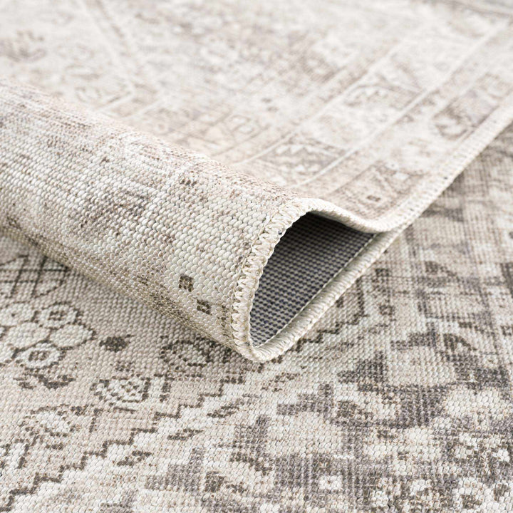 Nadie Traditional Style Beige and Brown Area Rug - The Rug Decor