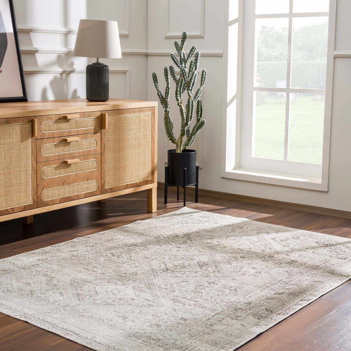 Nadie Traditional Style Beige and Brown Area Rug - The Rug Decor