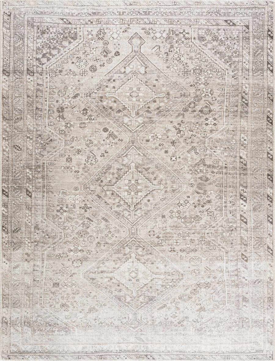 Nadie Traditional Style Beige and Brown Area Rug - The Rug Decor