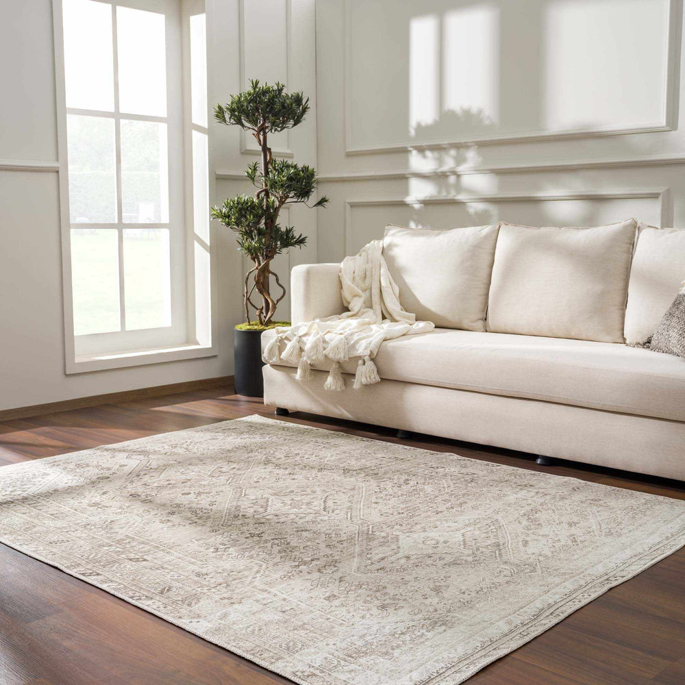 Nadie Traditional Style Beige and Brown Area Rug - The Rug Decor