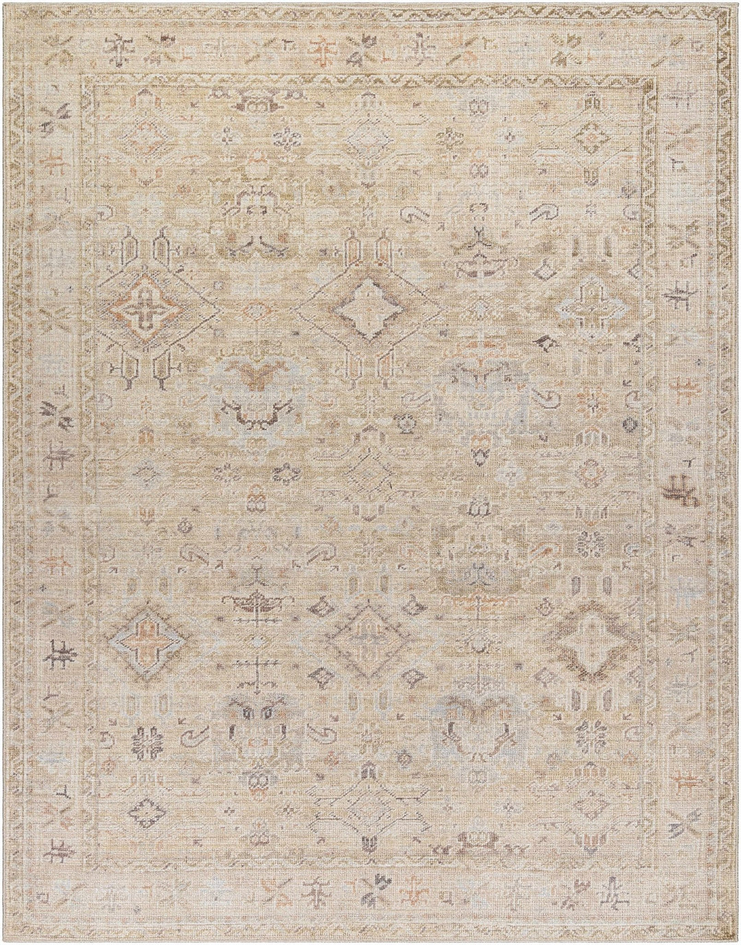 Nakia Traditional Style Tan And Brown Area Rug - The Rug Decor