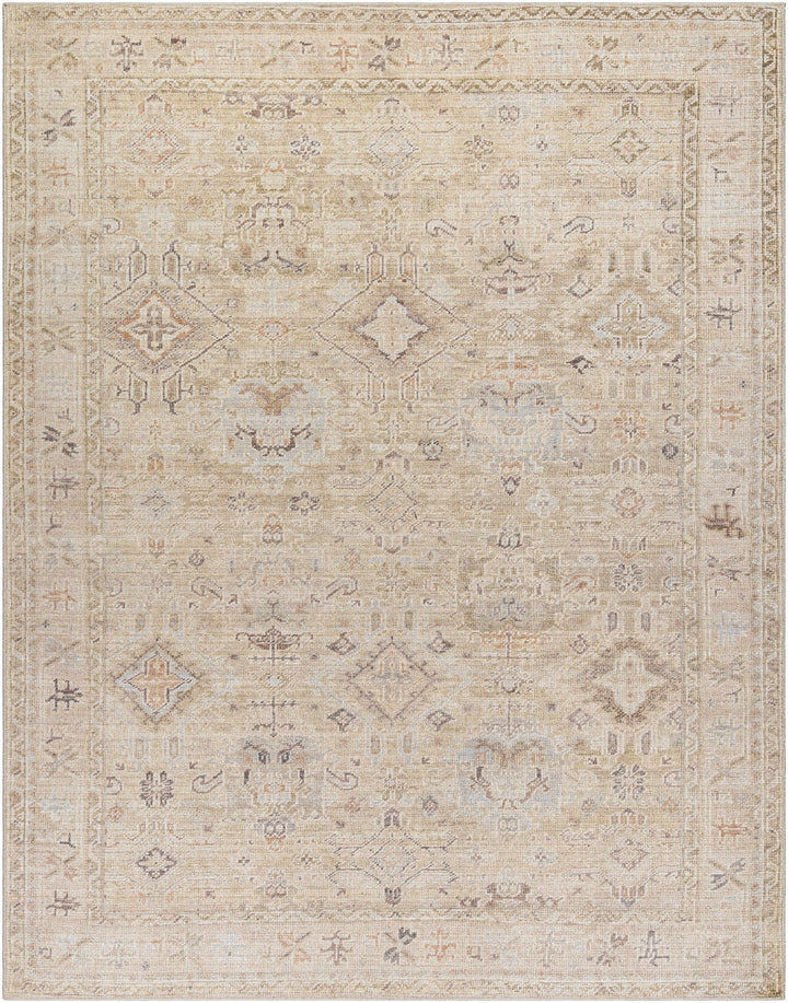 Nakia Traditional Style Tan And Brown Area Rug - The Rug Decor