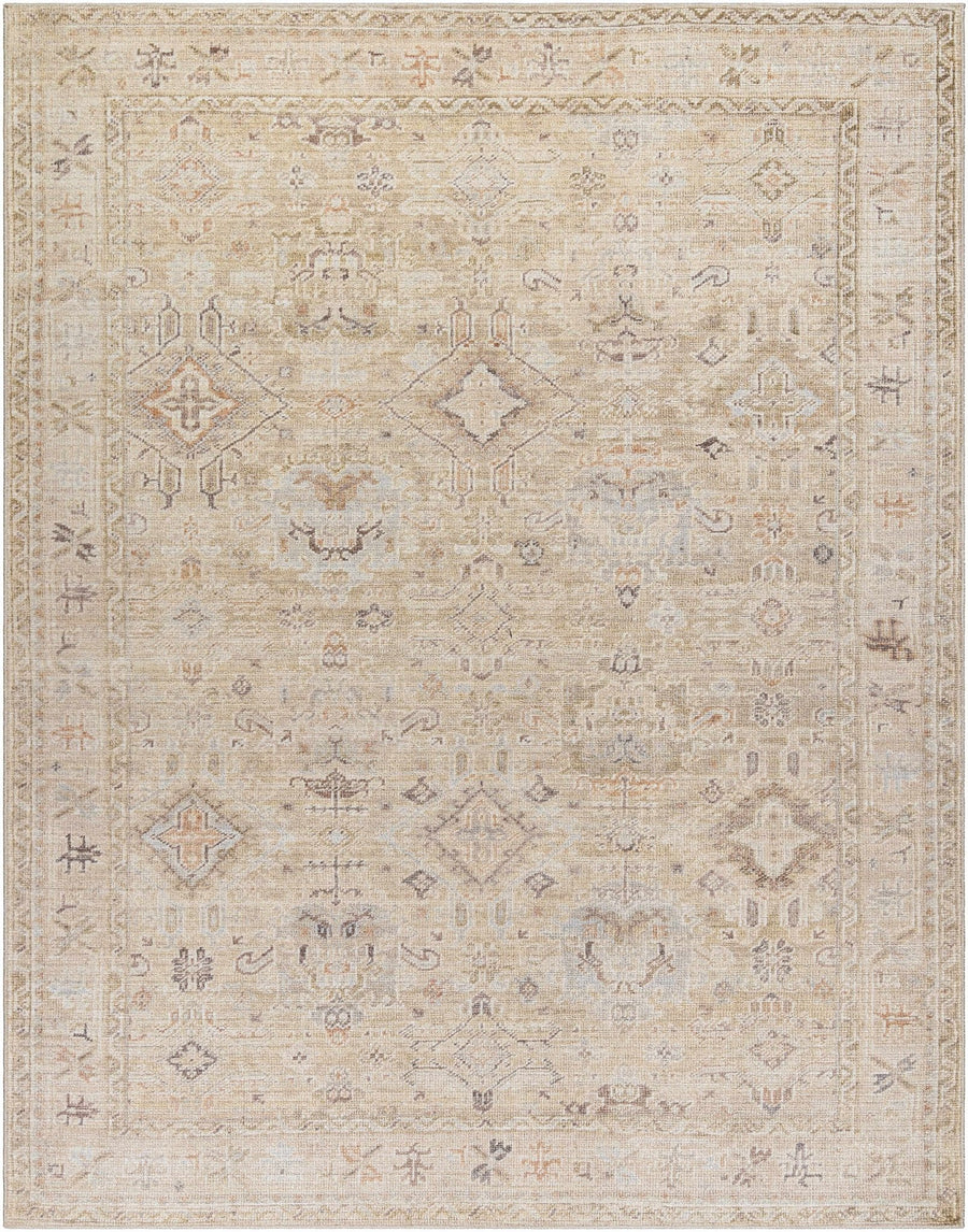 Nakia Traditional Style Tan And Brown Area Rug - The Rug Decor