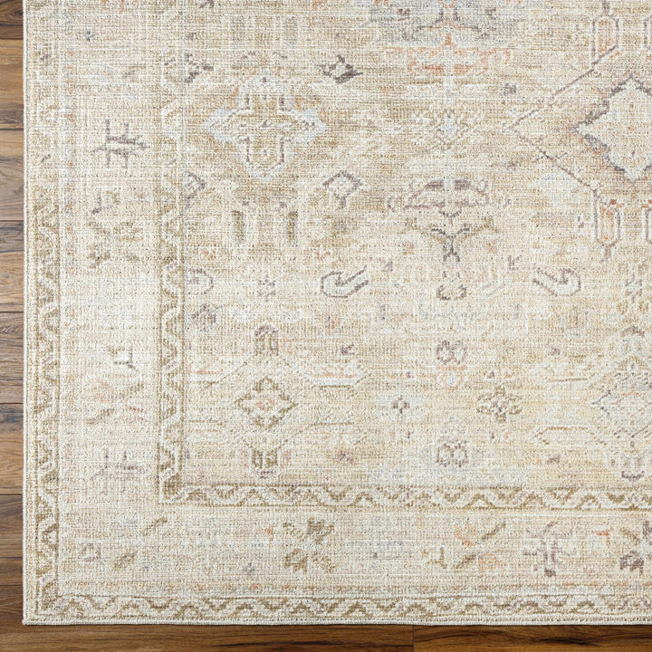Nakia Traditional Style Tan And Brown Area Rug - The Rug Decor