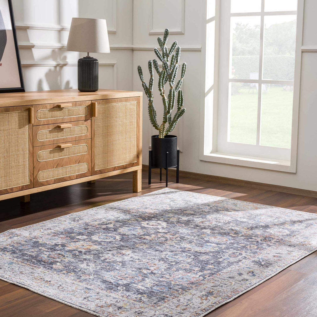 Napeu Beige And Blue Traditional Style Washable Area Rug - The Rug Decor