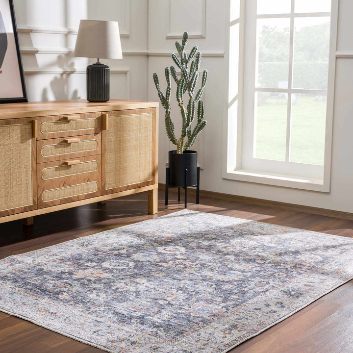 Napeu Beige And Blue Traditional Style Washable Area Rug - The Rug Decor