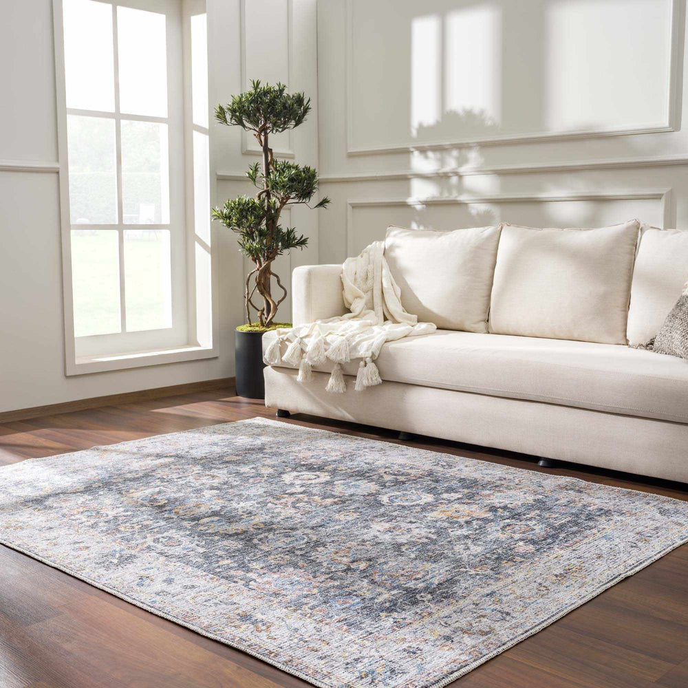 Napeu Beige And Blue Traditional Style Washable Area Rug - The Rug Decor
