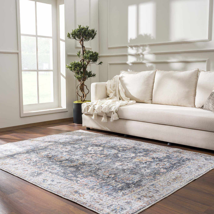 Napeu Beige And Blue Traditional Style Washable Area Rug - The Rug Decor