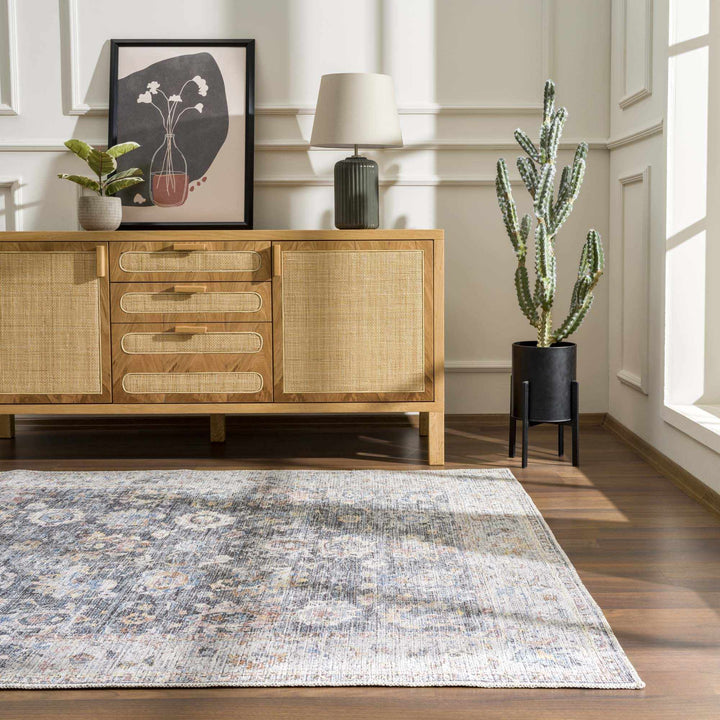 Napeu Beige And Blue Traditional Style Washable Area Rug - The Rug Decor