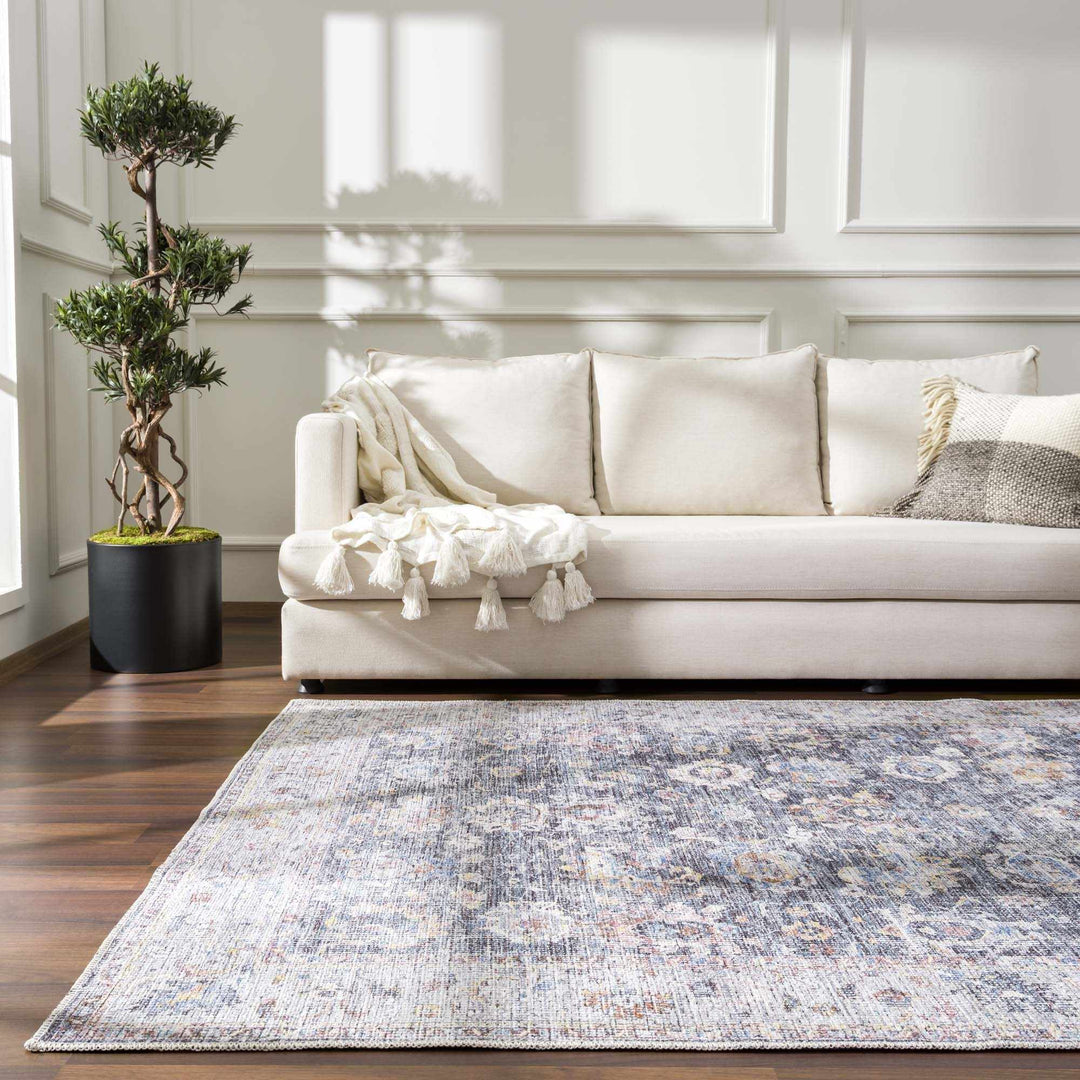 Napeu Beige And Blue Traditional Style Washable Area Rug - The Rug Decor