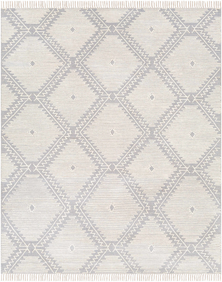 Naranjito Modern Geometrical Design Ivory Hand Woven Area Rug