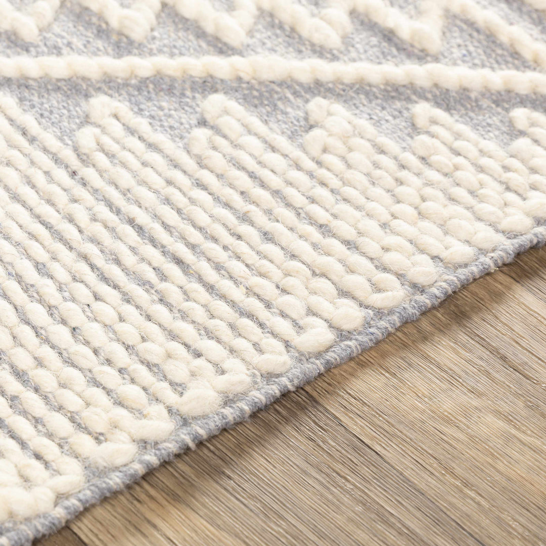 Naranjito Modern Geometrical Design Ivory Hand Woven Area Rug