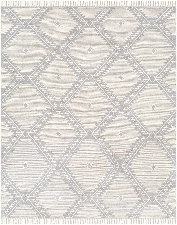 Naranjito Modern Geometrical Design Ivory Hand Woven Area Rug - The Rug Decor