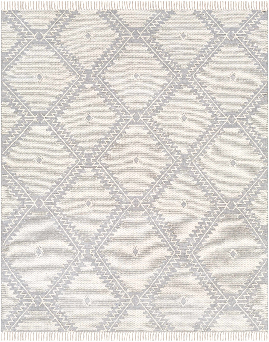 Naranjito Modern Geometrical Design Ivory Hand Woven Area Rug - The Rug Decor