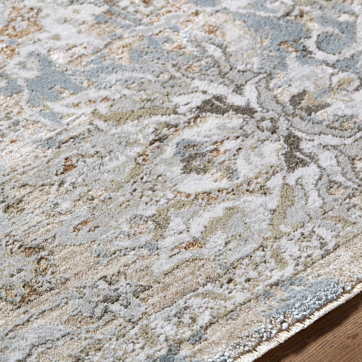 Nasir Traditional Style Beige And Gray Area Rug - The Rug Decor