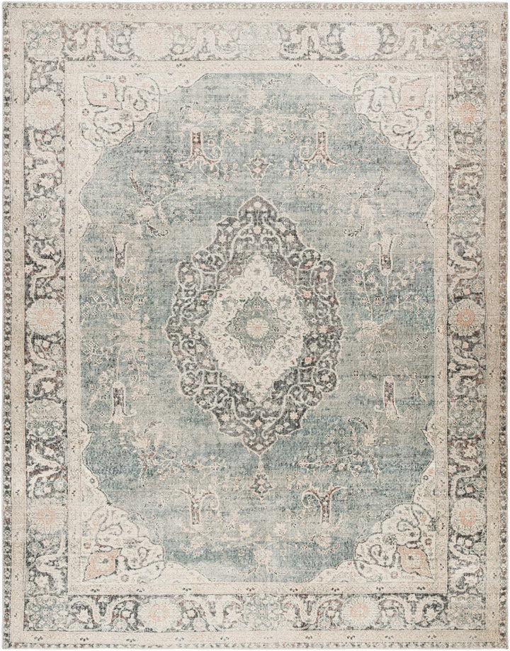 Nayef Traditional Gray And Beige Machine Woven Rug - The Rug Decor