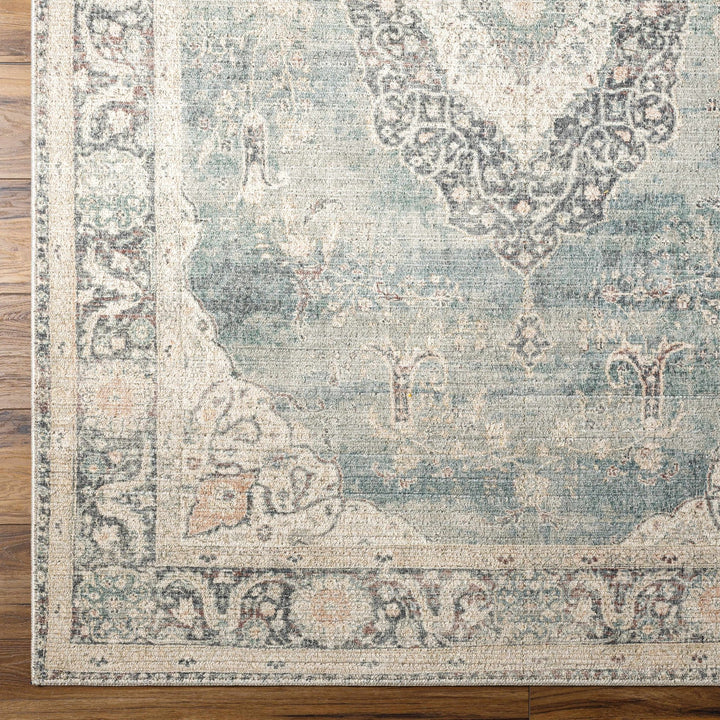 Nayef Traditional Gray And Beige Machine Woven Rug - The Rug Decor