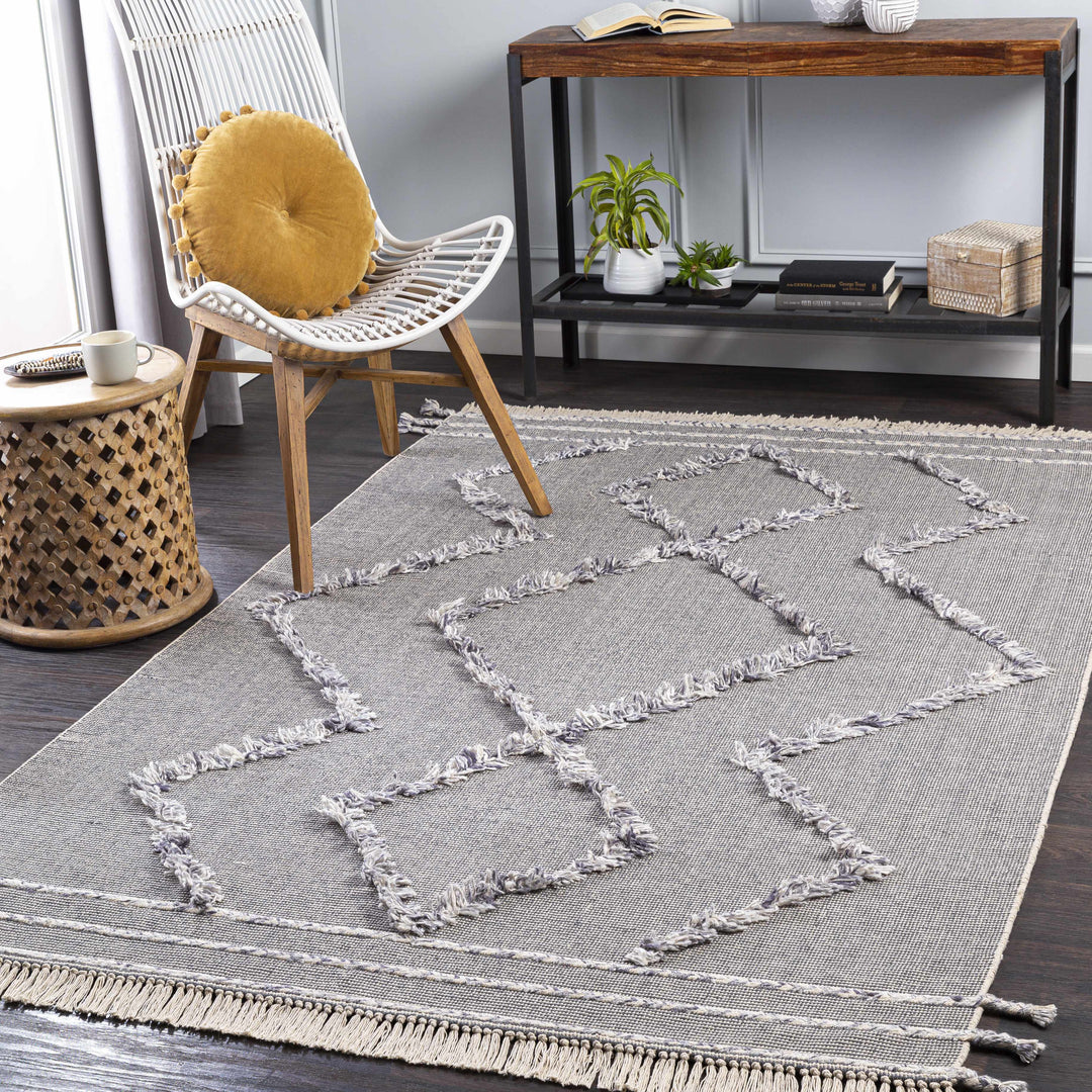 Needville Gray Modern Geometrical Design Hand Woven Area Rug