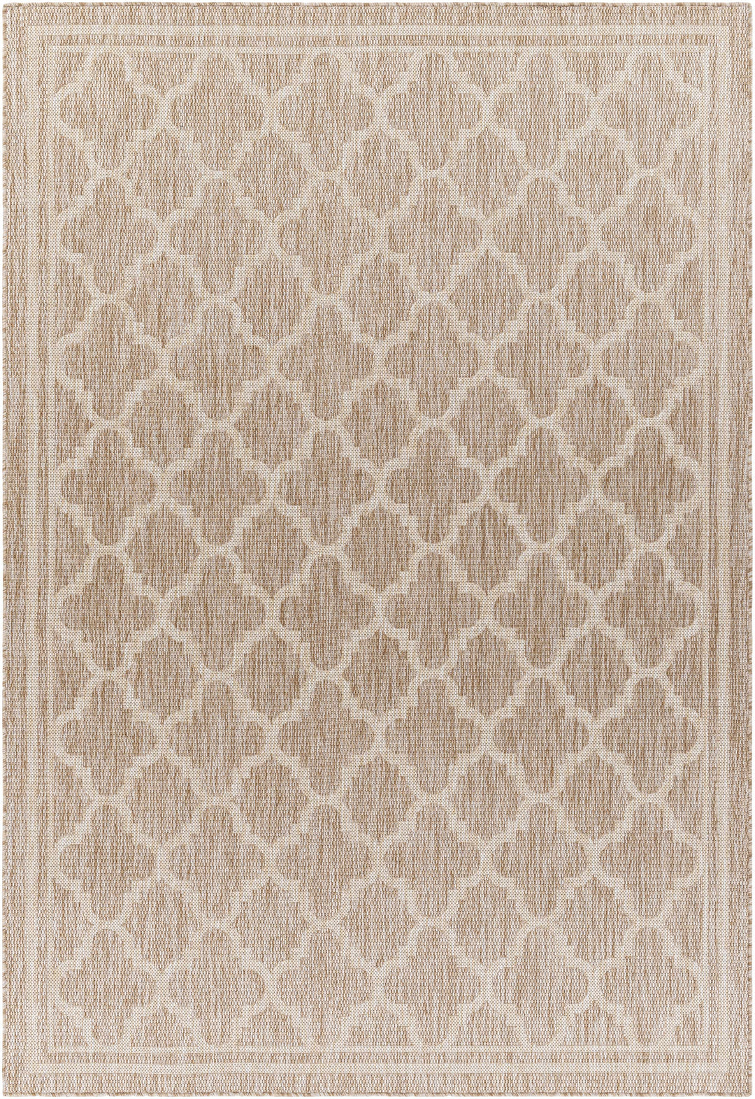 Noam Traditional Style Tan And Beige Indoor & Outdoor Rug