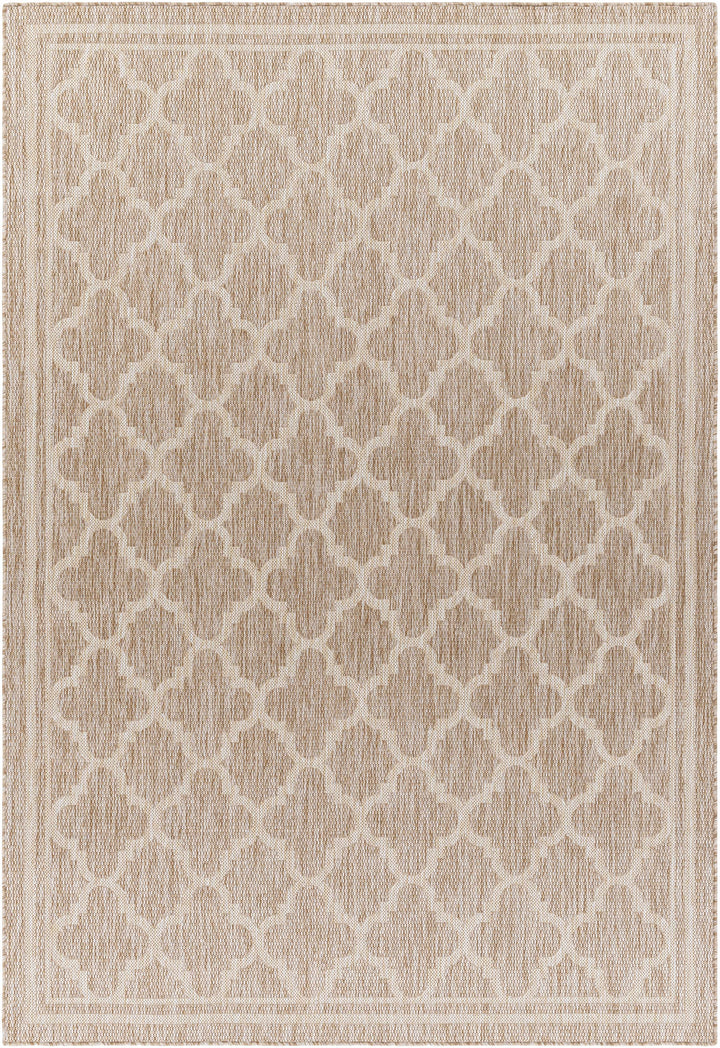 Noam Traditional Style Tan And Beige Indoor & Outdoor Rug