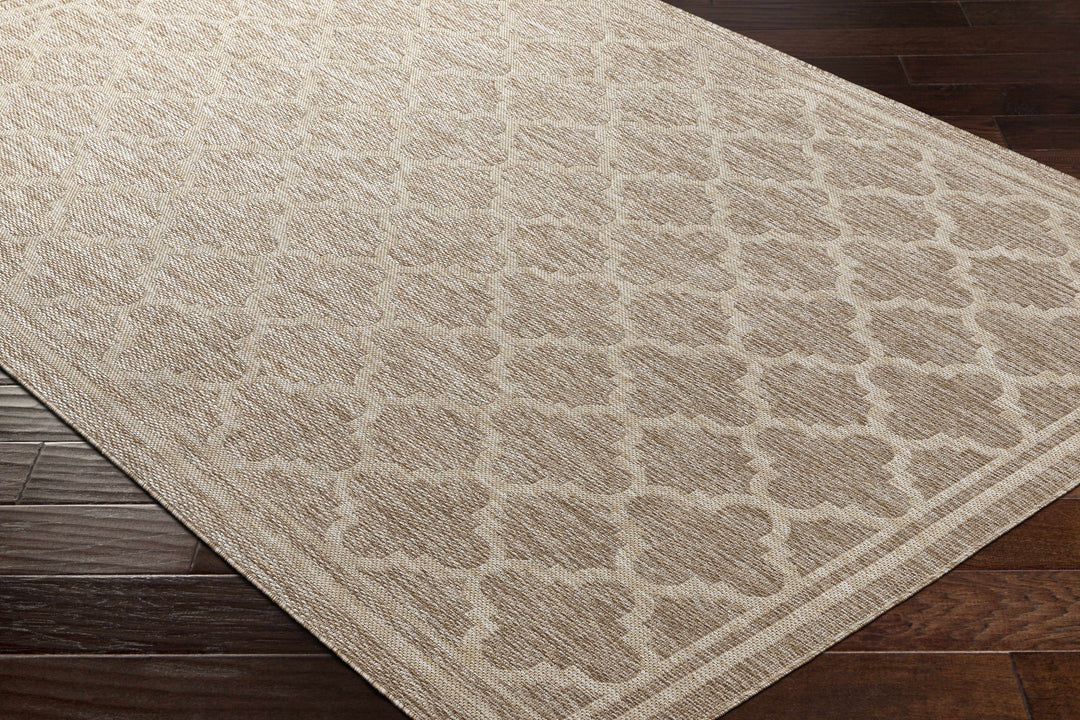 Noam Traditional Style Tan And Beige Indoor & Outdoor Rug