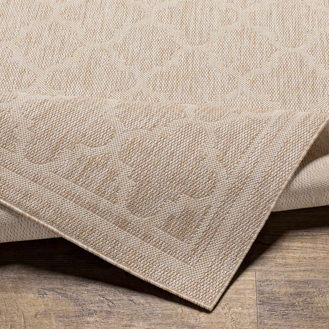 Noam Traditional Style Tan And Beige Indoor & Outdoor Rug