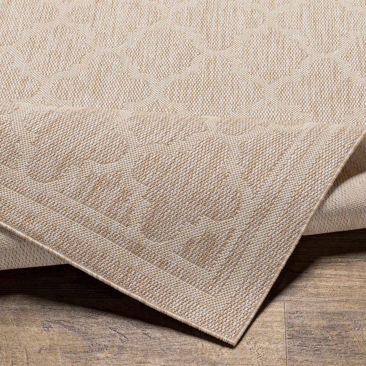 Noam Traditional Style Tan And Beige Indoor & Outdoor Rug