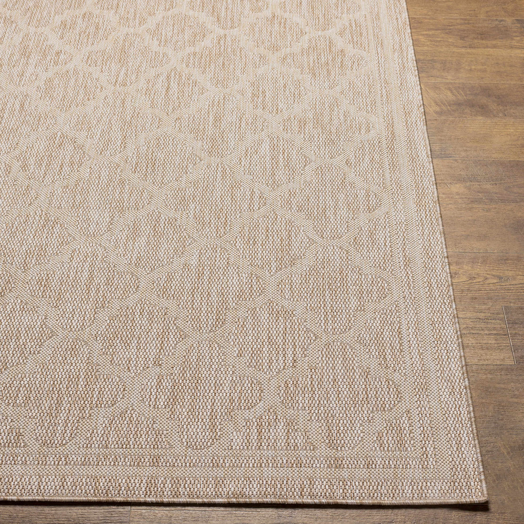 Noam Traditional Style Tan And Beige Indoor & Outdoor Rug
