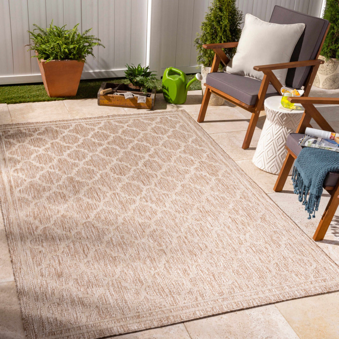 Noam Traditional Style Tan And Beige Indoor & Outdoor Rug