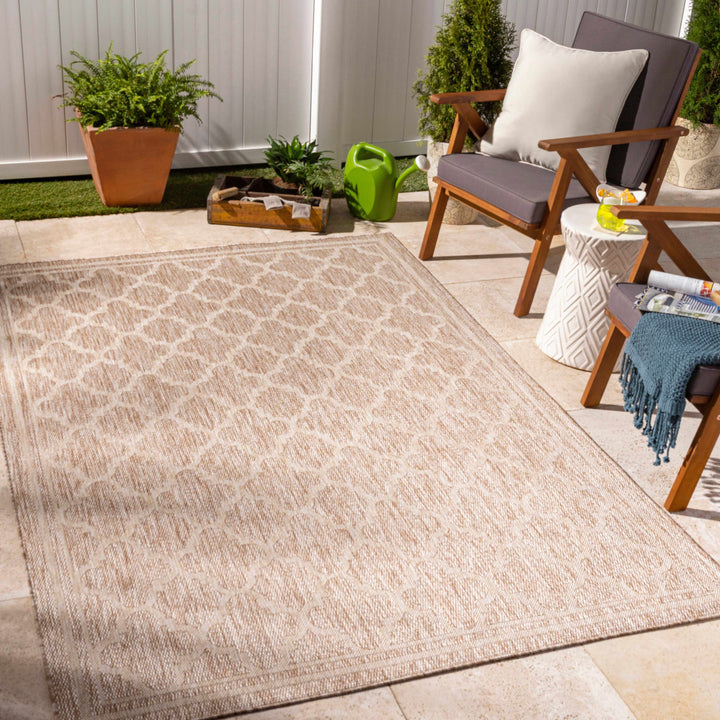 Noam Traditional Style Tan And Beige Indoor & Outdoor Rug