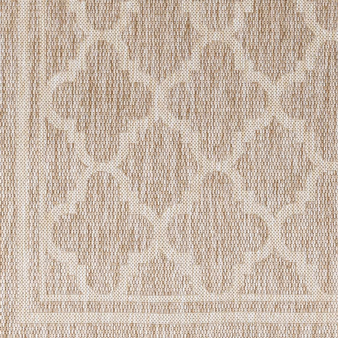 Noam Traditional Style Tan And Beige Indoor & Outdoor Rug