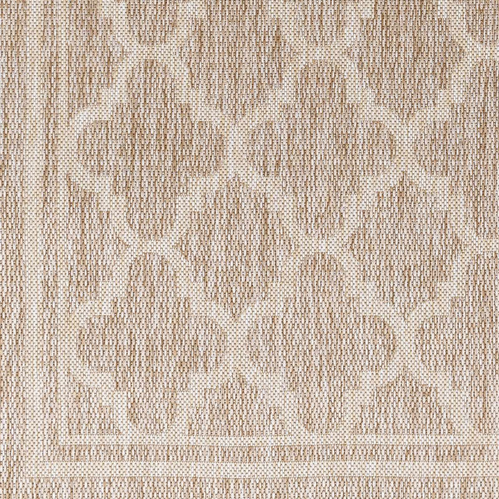 Noam Traditional Style Tan And Beige Indoor & Outdoor Rug