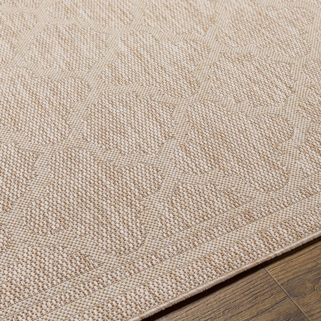 Noam Traditional Style Tan And Beige Indoor & Outdoor Rug